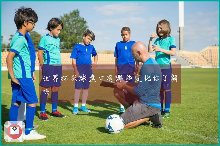 世界杯买球盘口有哪些变化你了解吗