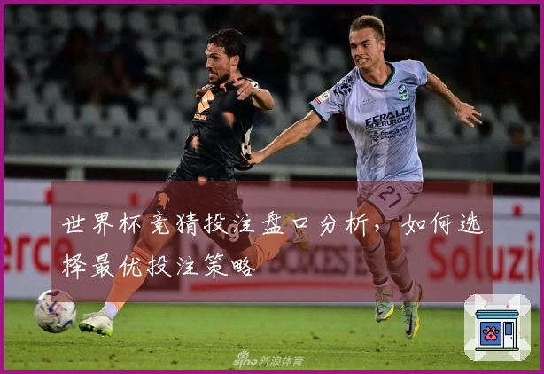 世界杯竞猜投注盘口分析，如何选择最优投注策略
