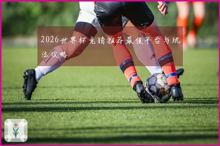 2026世界杯竞猜推荐最佳平台与玩法攻略