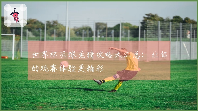 世界杯买球竞猜攻略大汇总：让你的观赛体验更精彩