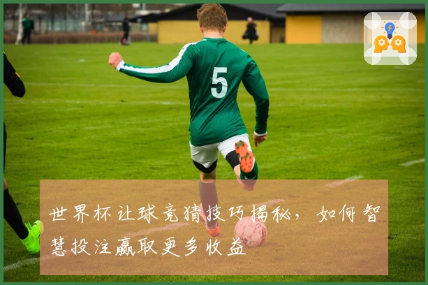 世界杯让球竞猜技巧揭秘，如何智慧投注赢取更多收益